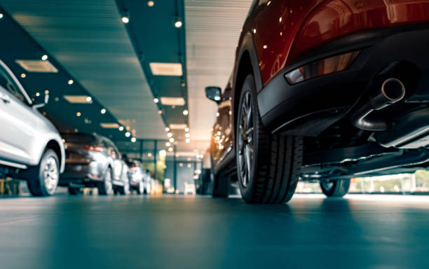 Read more about the article Polnischer Führerschein kaufen: Was Sie wissen müssen